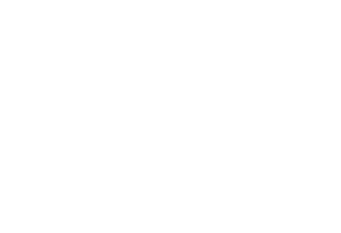 massari-logo-white